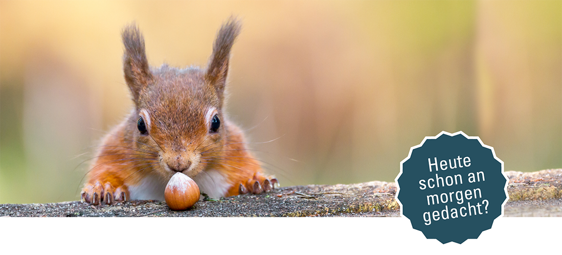 Eichhörnchen "Heute schon an Morgen gedacht?" Bild eines Eichhörnchens mit einer Haselnuss und der Überschrift "Heute schon an Morgen gedacht?"