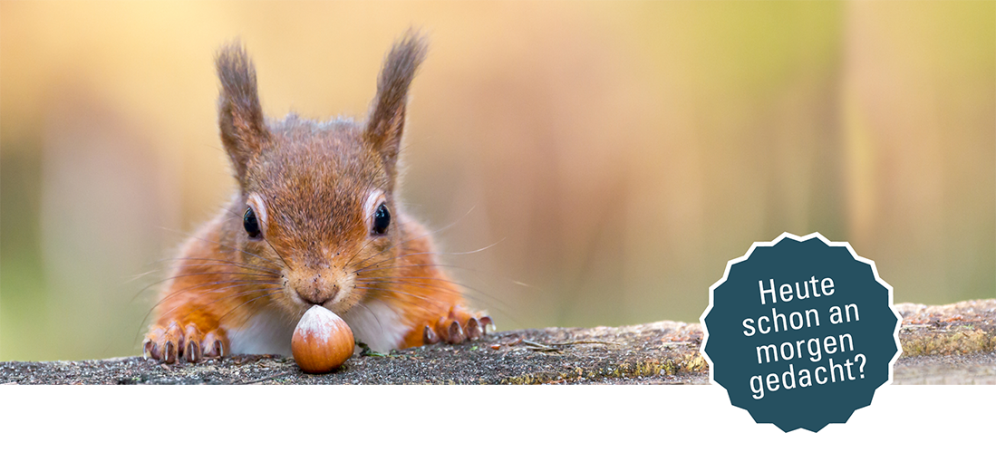 Bild eines Eichhörnchens mit einer Haselnuss und der Überschrift "Heute schon an Morgen gedacht?"